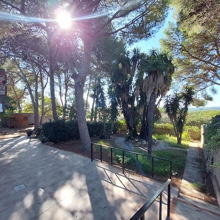 Chalet Rustico Con Piscina Y Barbacoa, Valencia Торрент Екстер'єр фото